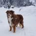 Lisa Weiler - Facebook
