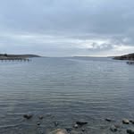 Lisa Weiler - @liiisaweiler - Instagram