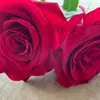 Lisa Weiler - @lisa.weiler8 - TikTok