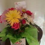 lisa.weiler@momentumww.com - @lisa.weilermomentumww.com6068 - Instagram
