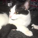 Lisa Weir - @lisa_weir - Instagram