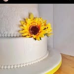 Lisa Weir - @chocolate_dreams_laois - Instagram
