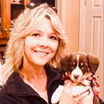 Lisa Wentzel - @lisawentzel7781 - Instagram