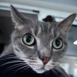 Lisa Wenzel - @lisawenz72 - Instagram