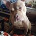 Lisa Westbrook - Facebook