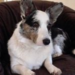 Lisa Westbrook - @aubergineunicorn - Instagram