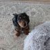 Lisa M Westervelt - Facebook