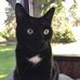 Lisa McTear Westervelt - Facebook