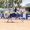 🇸🇪 Lisa Westman 🇸🇪 - @lisa.westman - TikTok