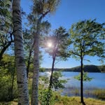 Lisa Anderson - @lisa.westman - Instagram