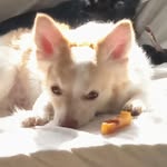Lisa westman - @westman2665 - Instagram
