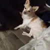 Lisa Westman - @lisa.westman25 - TikTok