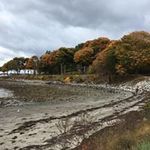 Lisa Whetstone - @whetstonelisa - Instagram