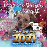 Lisa Rowe Wickard - @lisa_rowe_wickard - Instagram