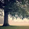 Lisa Widmer - @user390955810 - TikTok