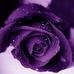 Lisa Wigfall - Facebook