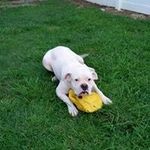Lisa Wiginton - @wigintonlisa - Instagram
