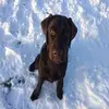 Lisa_wilbert_ - @lisa_wilbert_ - TikTok