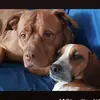 G7 Gen❌️🐾💠🩵🐬Lisa🐬🩵💠🐾 - @lisa.williams5606 - TikTok