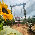 Lisa Williams - @lisa_williams_ac - Instagram