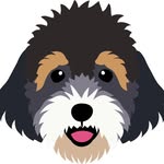 Lisa Williams - @nutradoodle - Instagram
