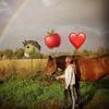 Lisa Willman - @lisawillman - TikTok