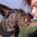 Lisa Wilteus - Facebook