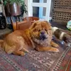 lisawindle387 - @lisawindle387 - TikTok