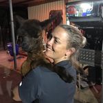 Lisa Windsor - @lisawindsor15 - Instagram