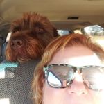 Lisa Winget Betz - @rosienjakesmomma - Instagram