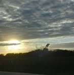 Lisa Wingo - Facebook