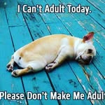lisa winkels - @paradise1967 - Instagram