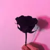 lisawinner - @lisawinner - TikTok