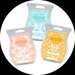 Lisa Wisner - @it.makes.scentsy - Instagram