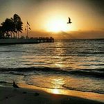 Lisa Witmer Fetrow - @lisawitmer - Instagram