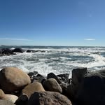 Lisa Witmer Montpetit Shirk - @grapefruitcrush - Instagram