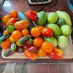 Lisa Wolfson Caggiano - @wolfson577 - Instagram