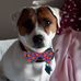 Lisa Worth - Facebook