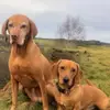 Lisa Wright - @lisa.wright7 - TikTok