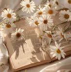Liza Yeasmin - Facebook