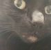 Lisa Zebrowski - Facebook