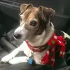 Lisa Zebrowski - @lisazebrowski - TikTok