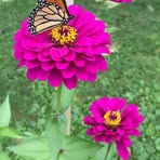Lisandra Ayala - Facebook