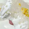 Lisandra Ayala - @layisandyala - TikTok