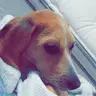 lisandra dominguez - @user916402066 - TikTok