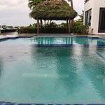 Lisandro Perez - @tikihutevolution - Instagram