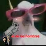 Lisandro Roldan - @lisandroroldan46 - Instagram