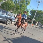 Lisandro Torres - @lisandrotorres323 - Instagram