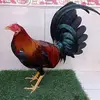 torres - @lisandrotorres694 - TikTok