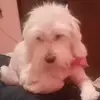 Lisbel Diaz - @lisbeldiaz - TikTok